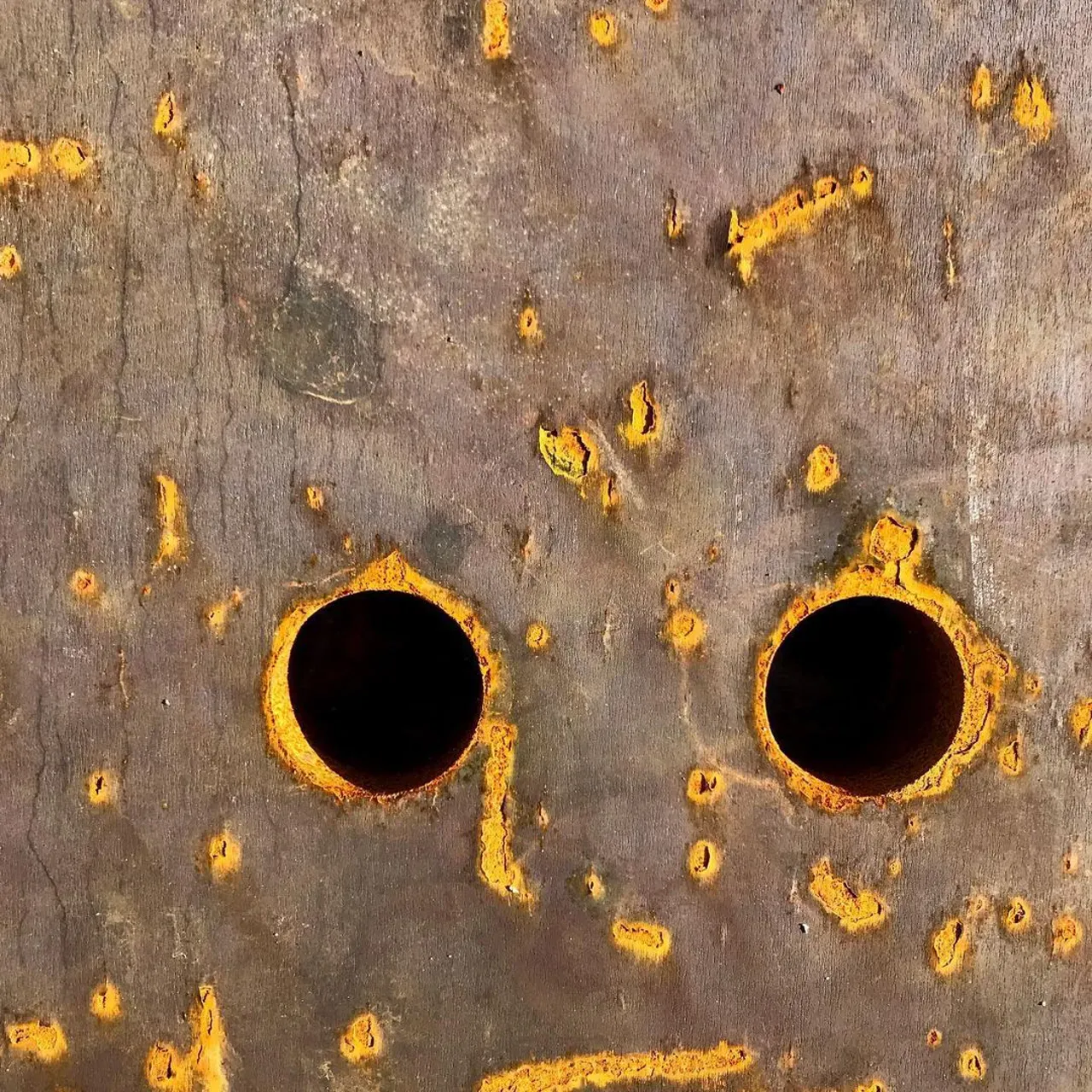 Image 24 - Rust