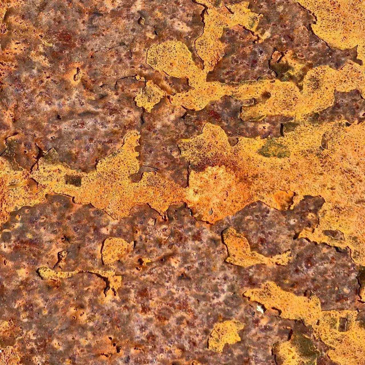 Image 28 - Rust