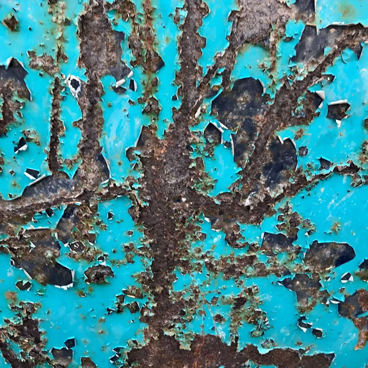 Image 29 - Rust