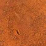 Image 3 - Rust