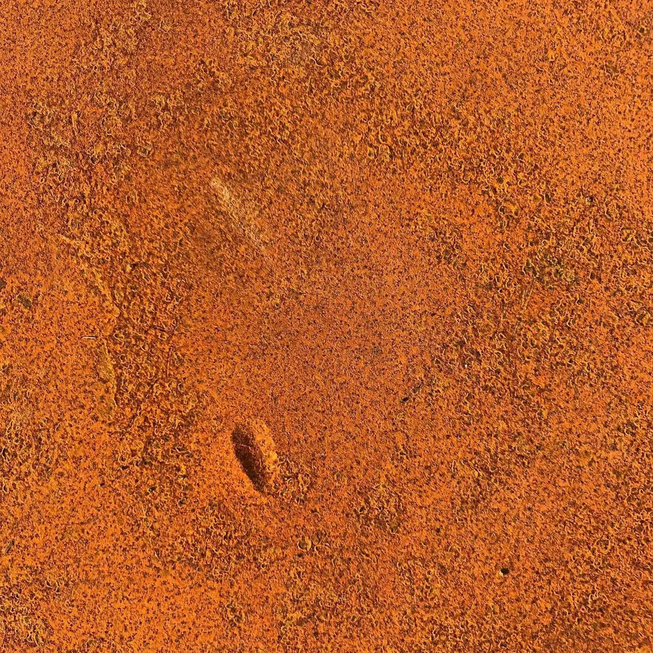Image 3 - Rust