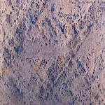 Image 4 - Rust