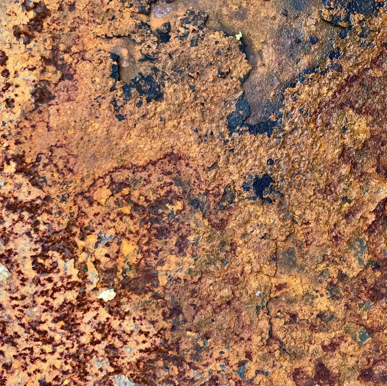 Image 43 - Rust