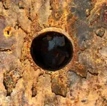 Image 7 - Rust