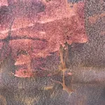 Image 8 - Rust