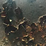 Image 9 - Rust
