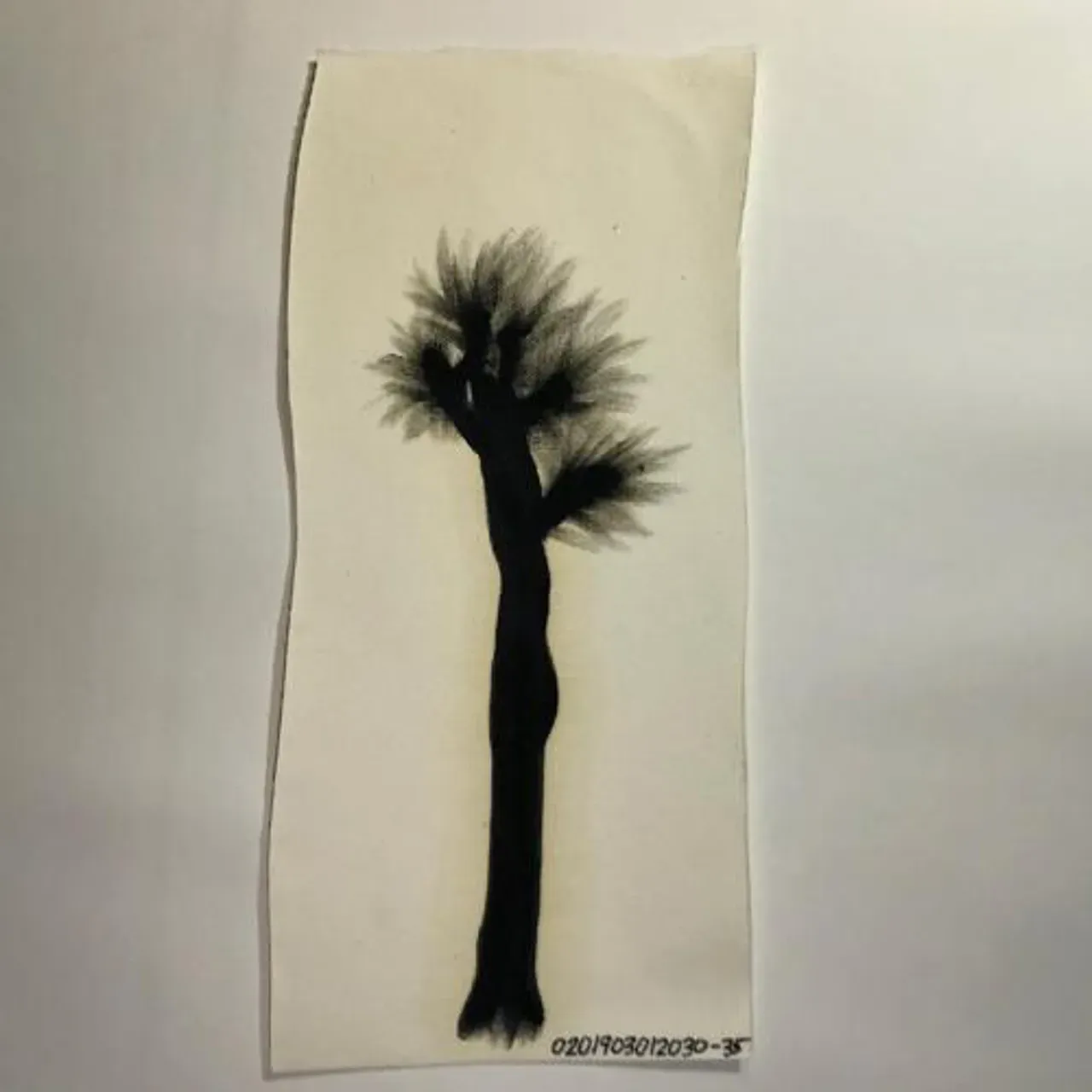 Image 9 - Self Portraits