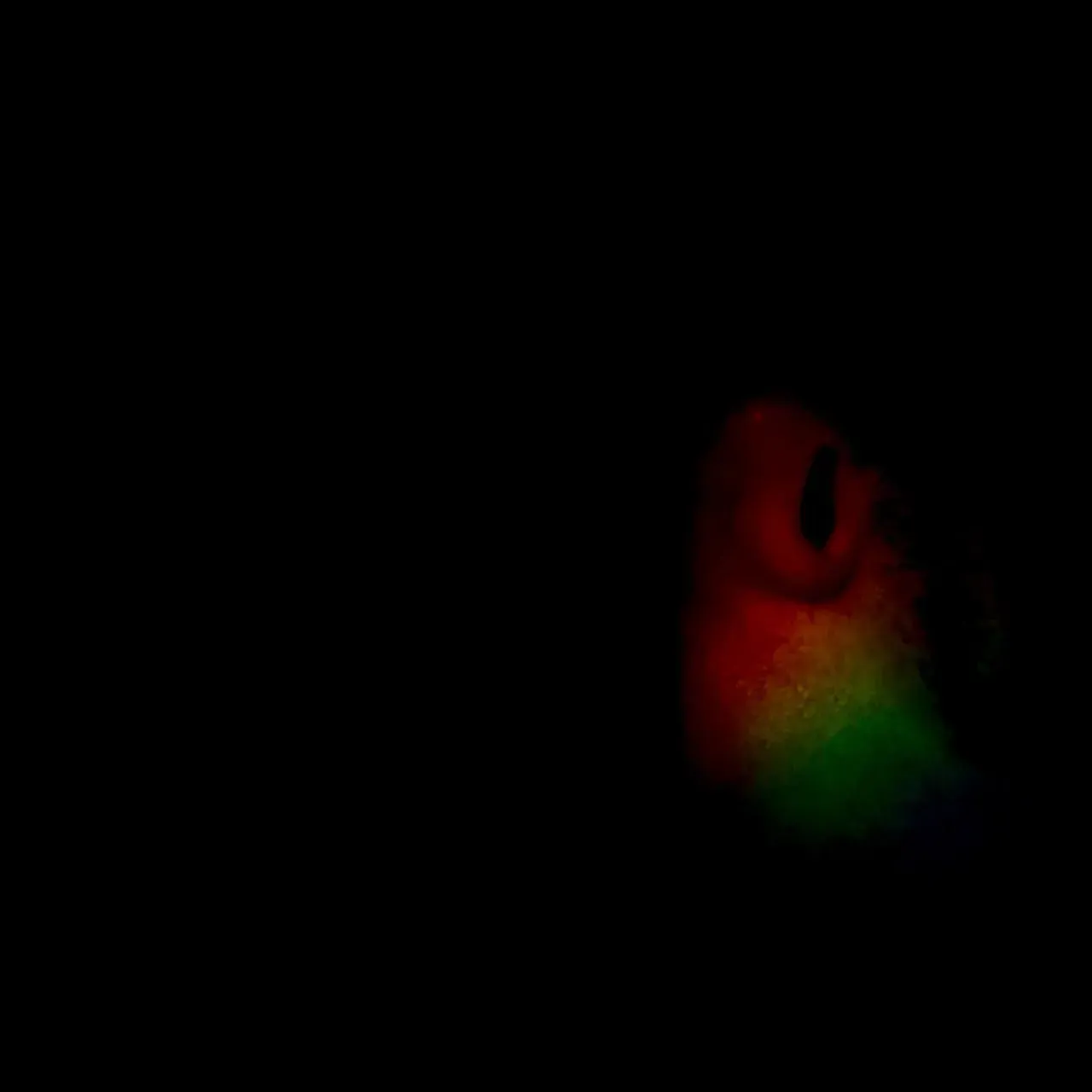 Image 13 - Slow Light