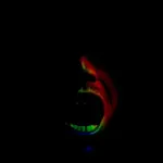 Image 15 - Slow Light
