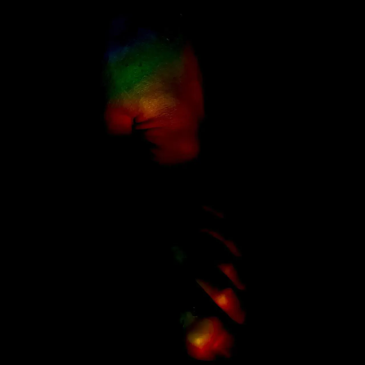 Image 16 - Slow Light