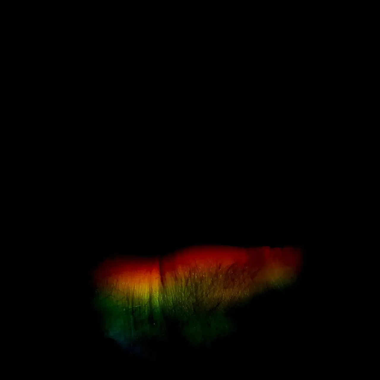 Image 17 - Slow Light