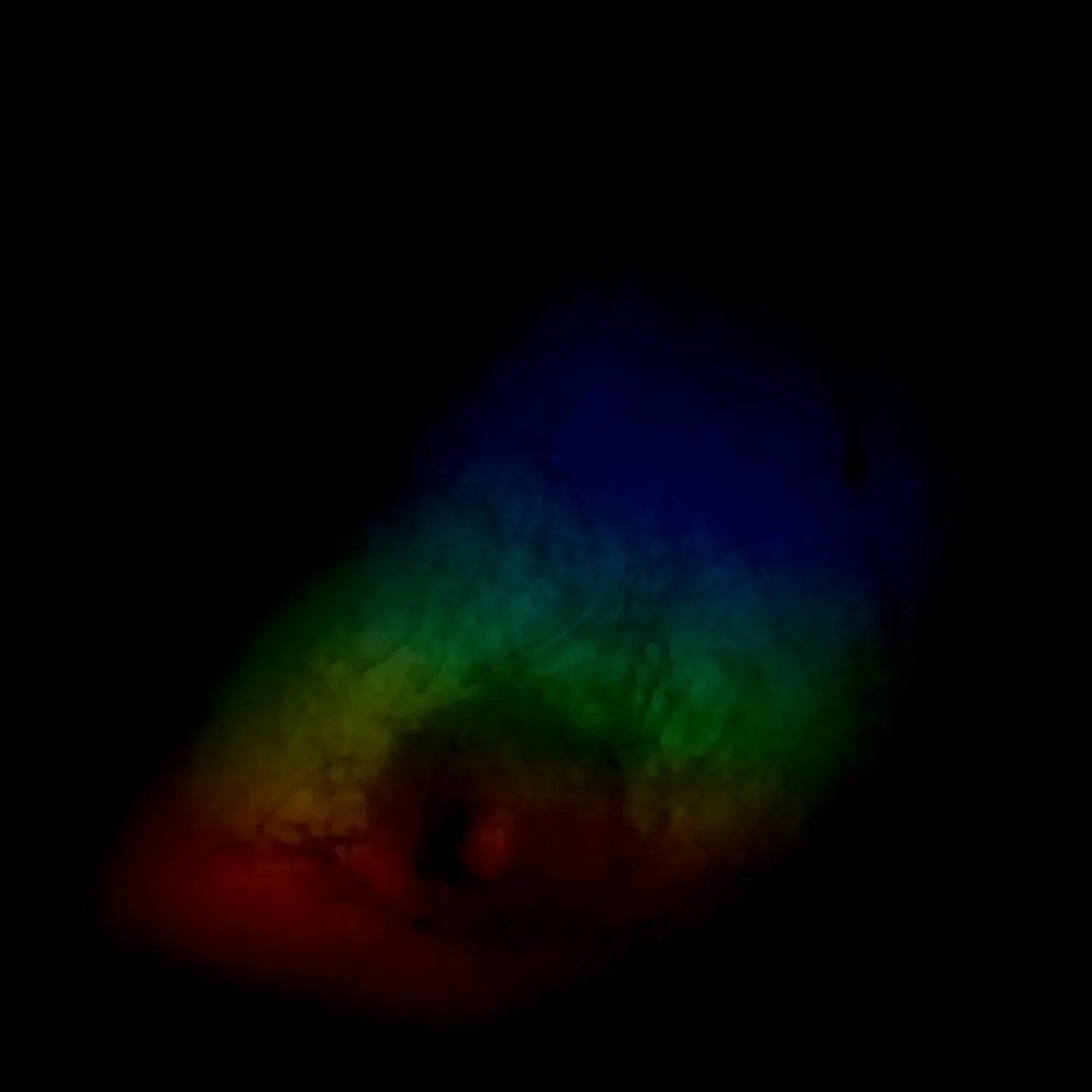 Image 22 - Slow Light