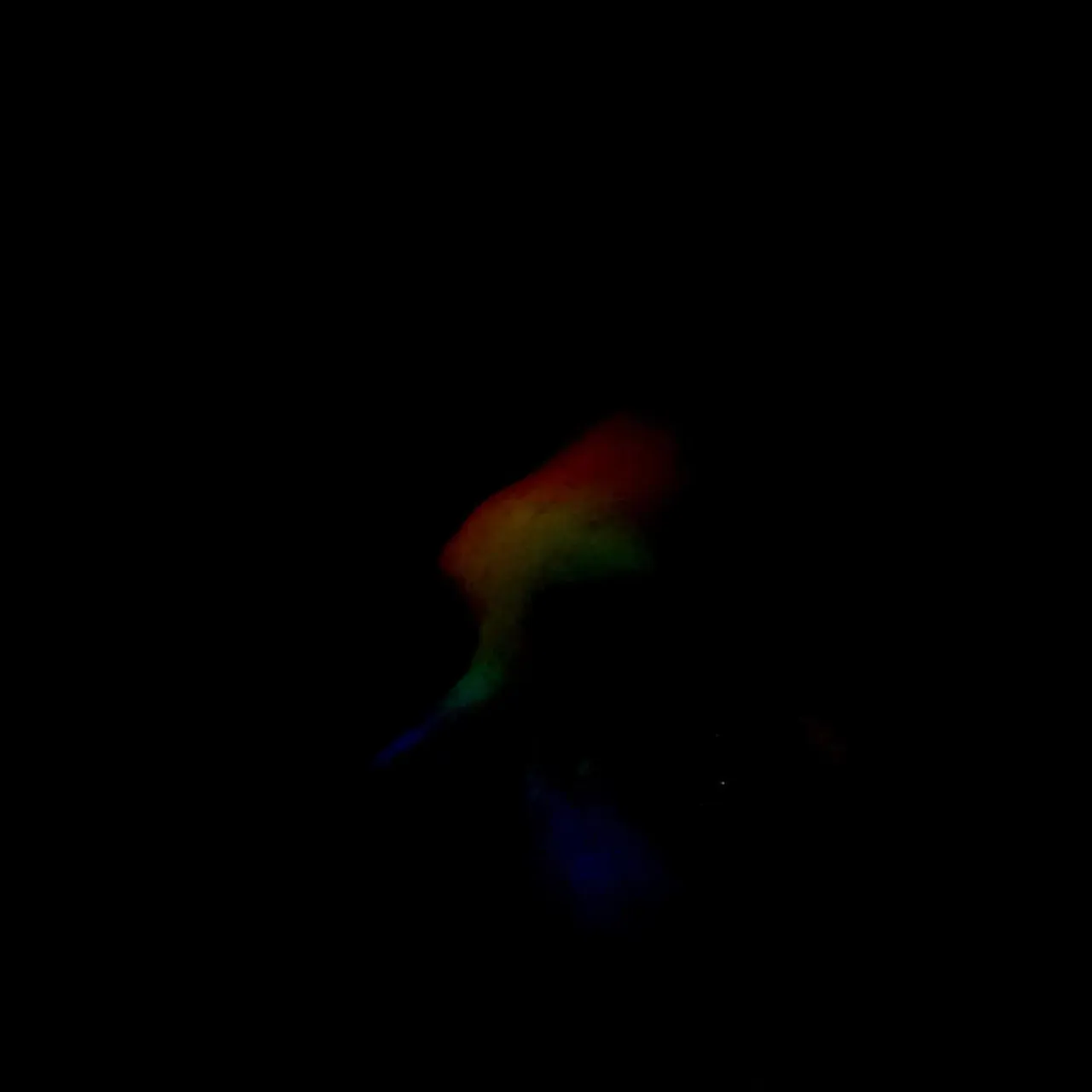 Image 29 - Slow Light