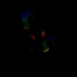Image 30 - Slow Light