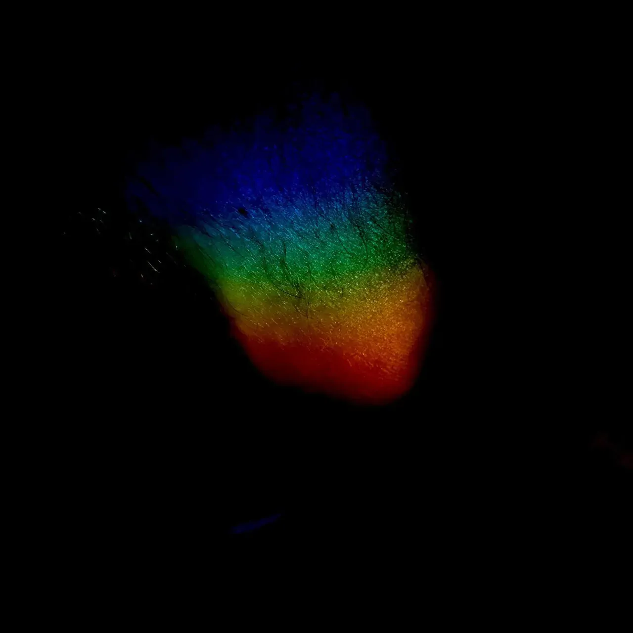Image 31 - Slow Light