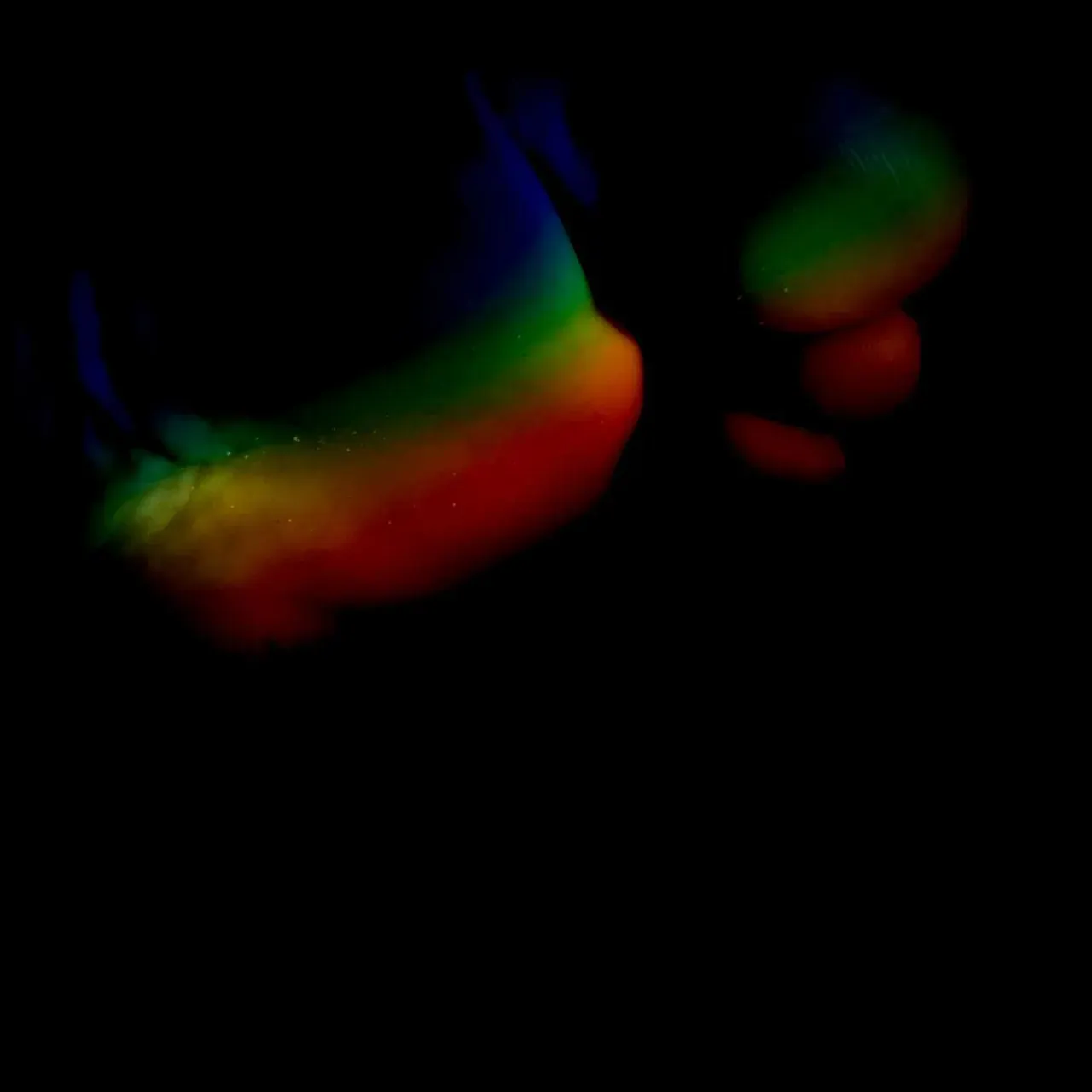 Image 33 - Slow Light