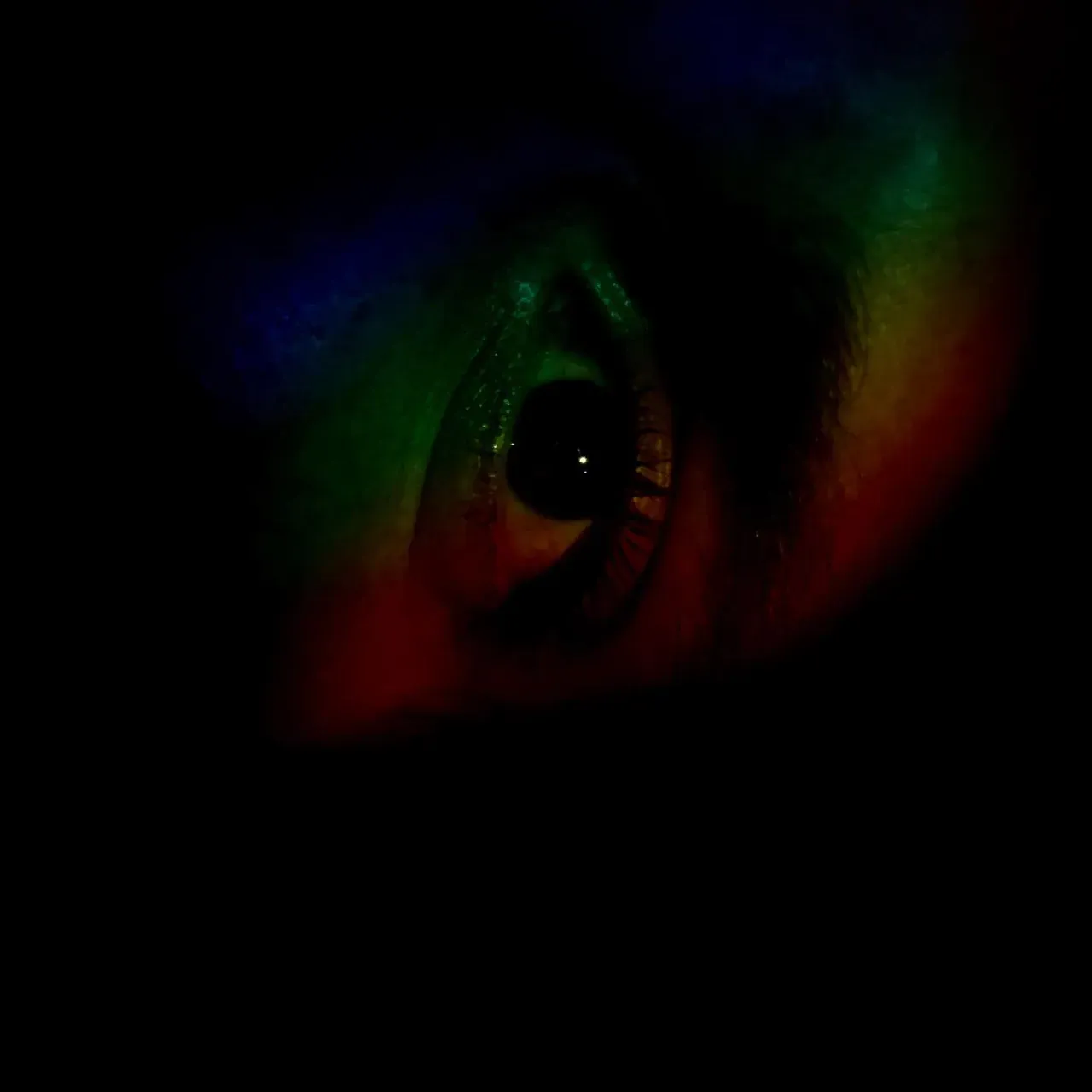 Image 35 - Slow Light
