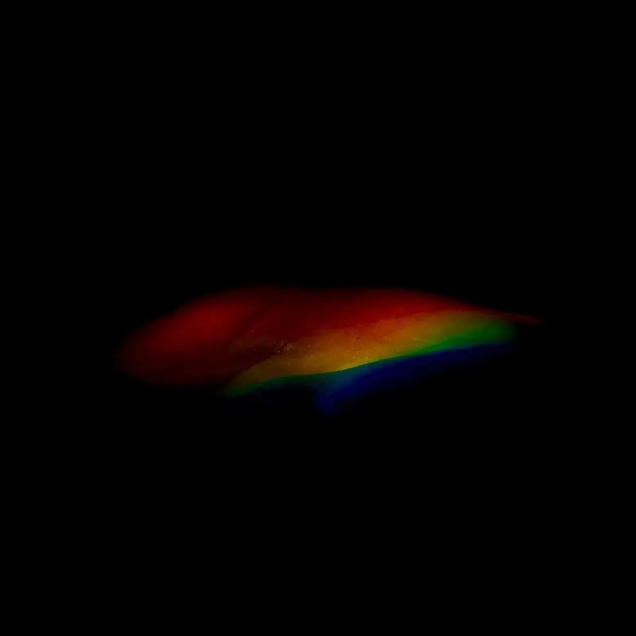 Image 6 - Slow Light
