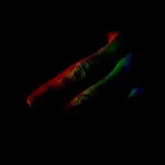 Image 8 - Slow Light