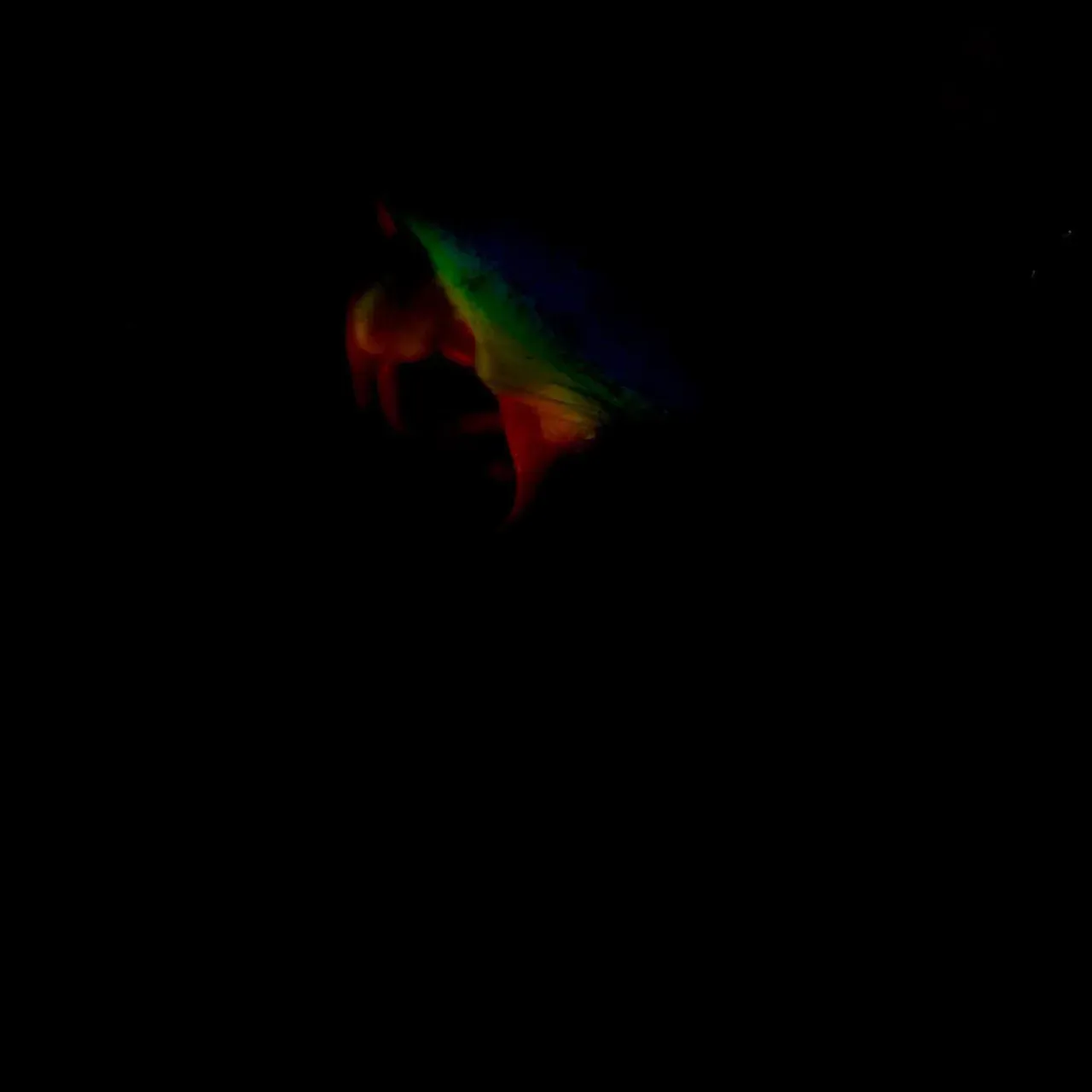 Image 9 - Slow Light