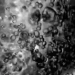 Video 13 - Slow