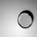 Video 15 - Slow