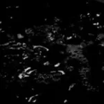 Video 7 - Slow