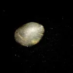 Image 1 - Space Rocks
