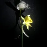 Image 1 - Spring