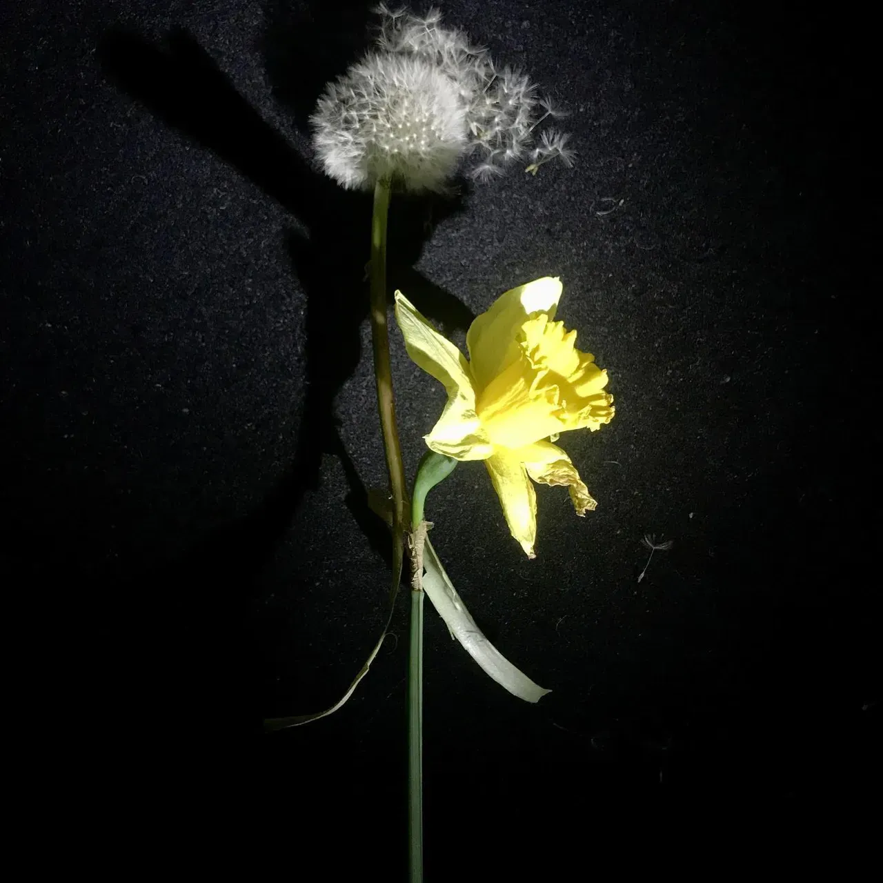 Image 1 - Spring