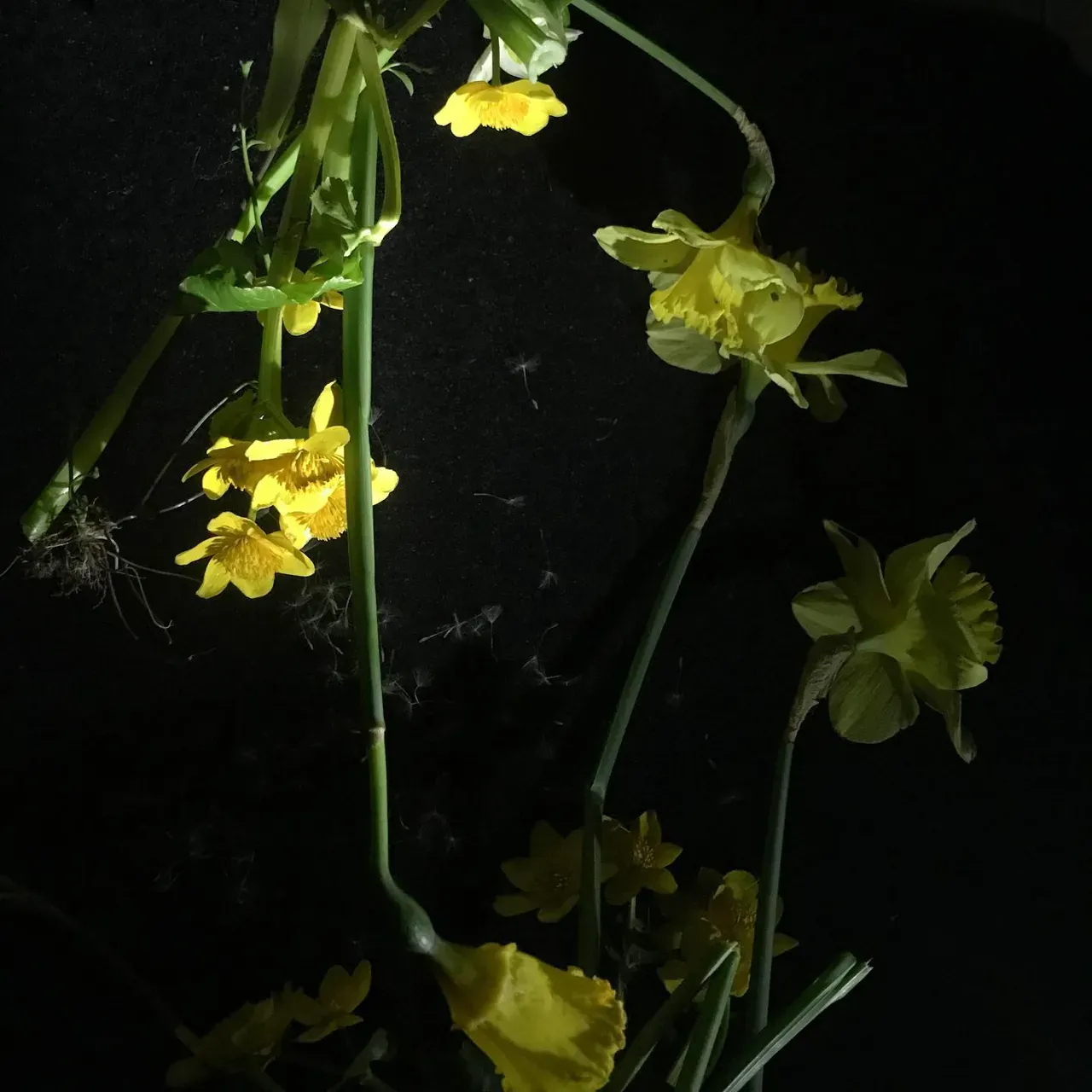 Image 10 - Spring