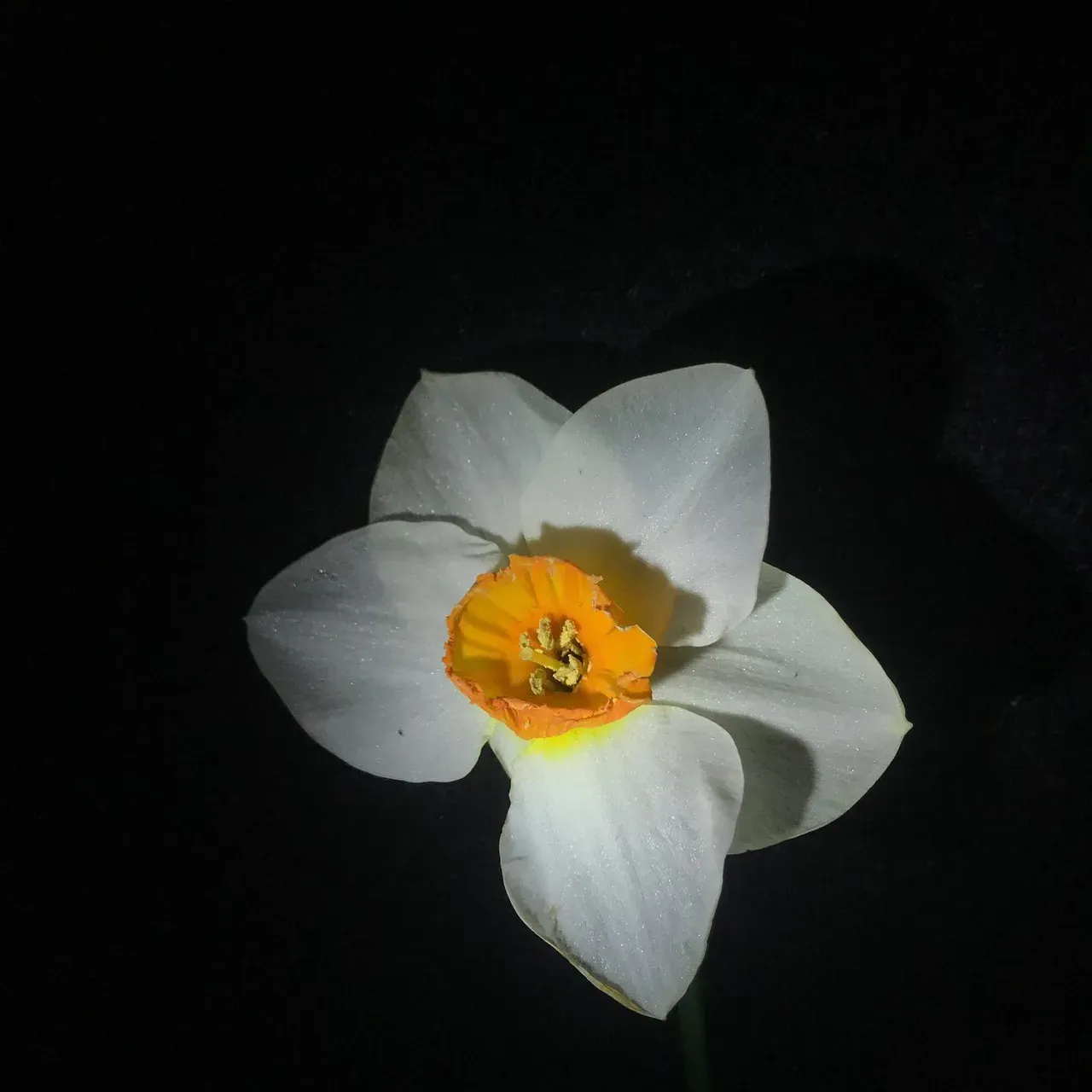 Image 11 - Spring
