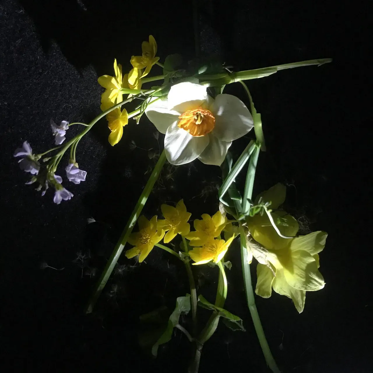 Image 12 - Spring