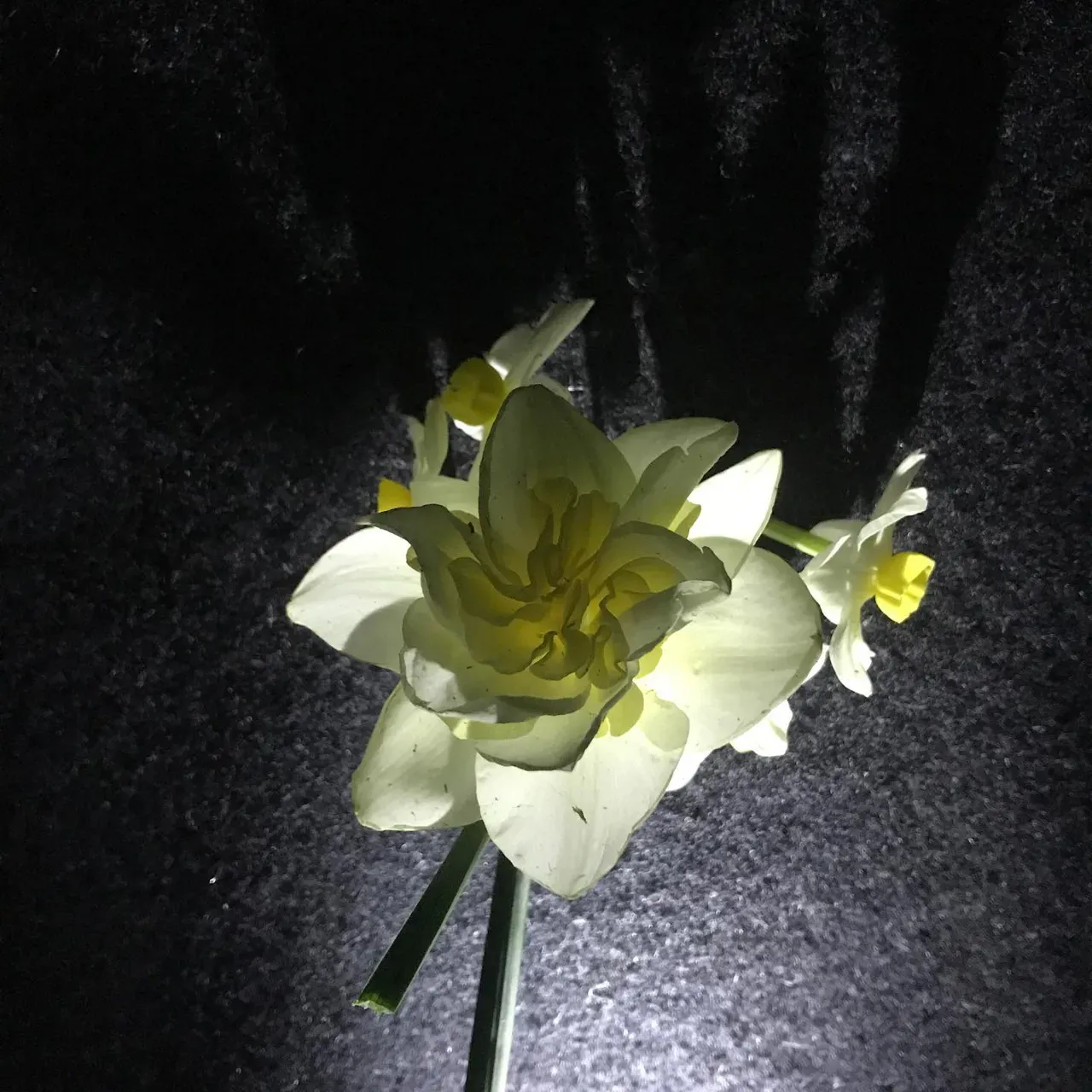 Image 14 - Spring