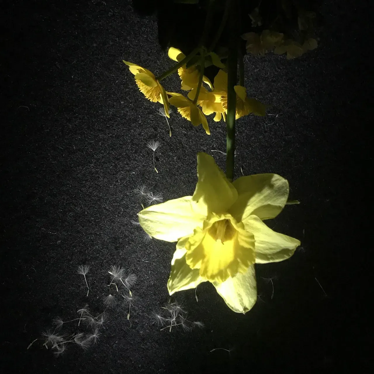 Image 17 - Spring