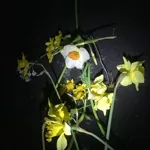 Image 18 - Spring