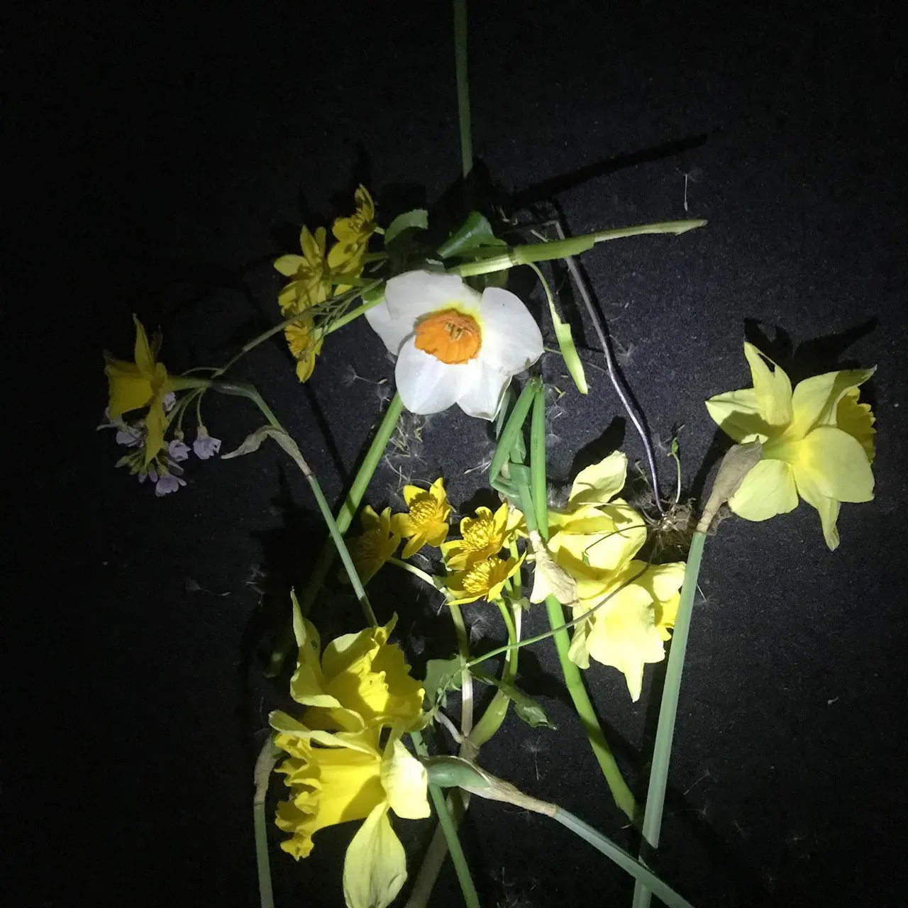 Image 18 - Spring