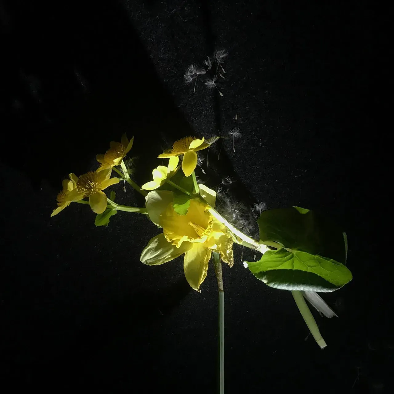 Image 2 - Spring