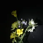 Image 20 - Spring