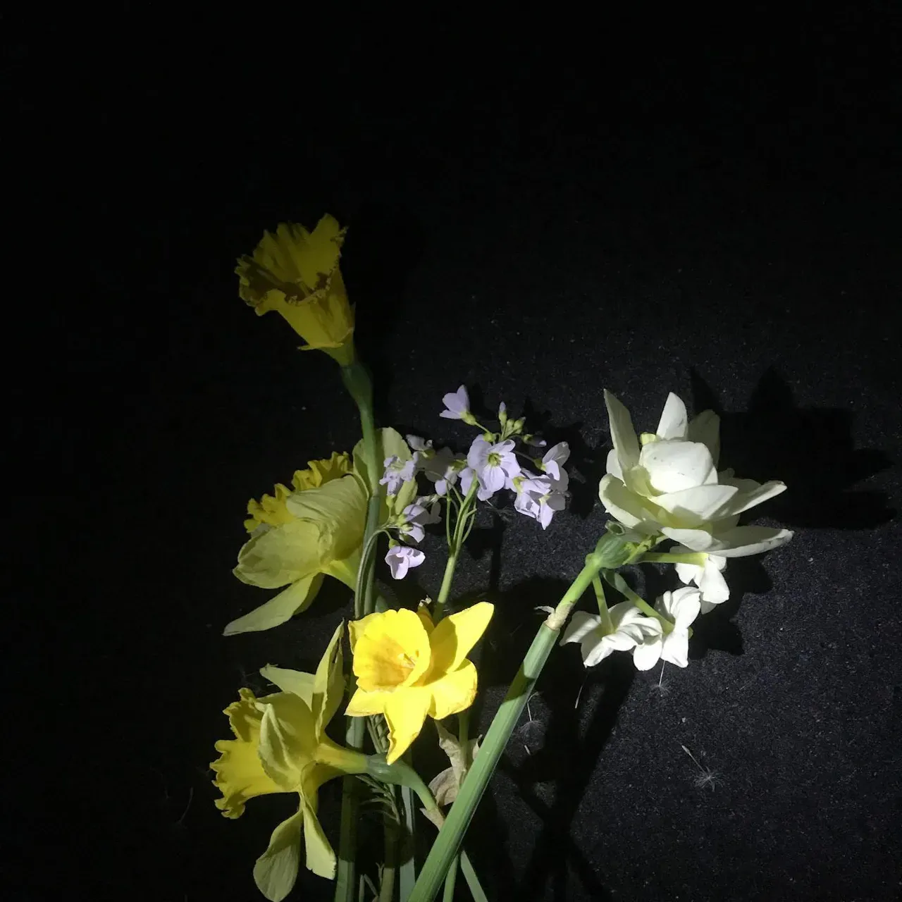 Image 20 - Spring