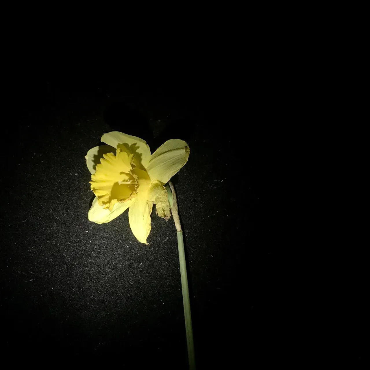 Image 22 - Spring