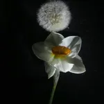 Image 25 - Spring