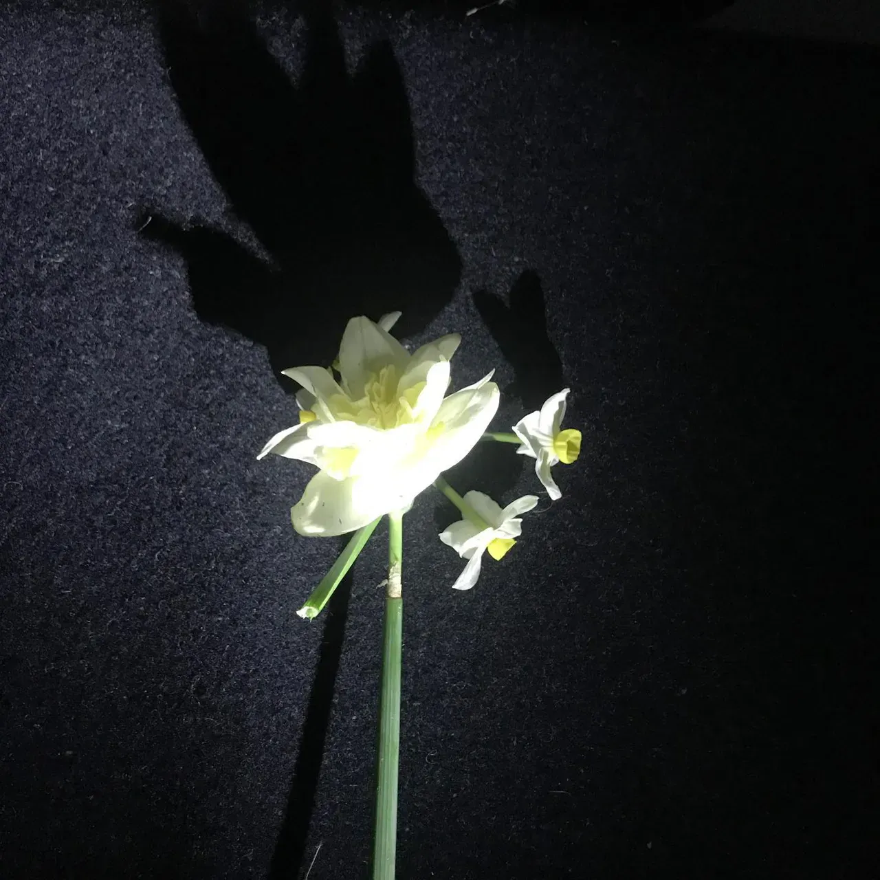 Image 26 - Spring