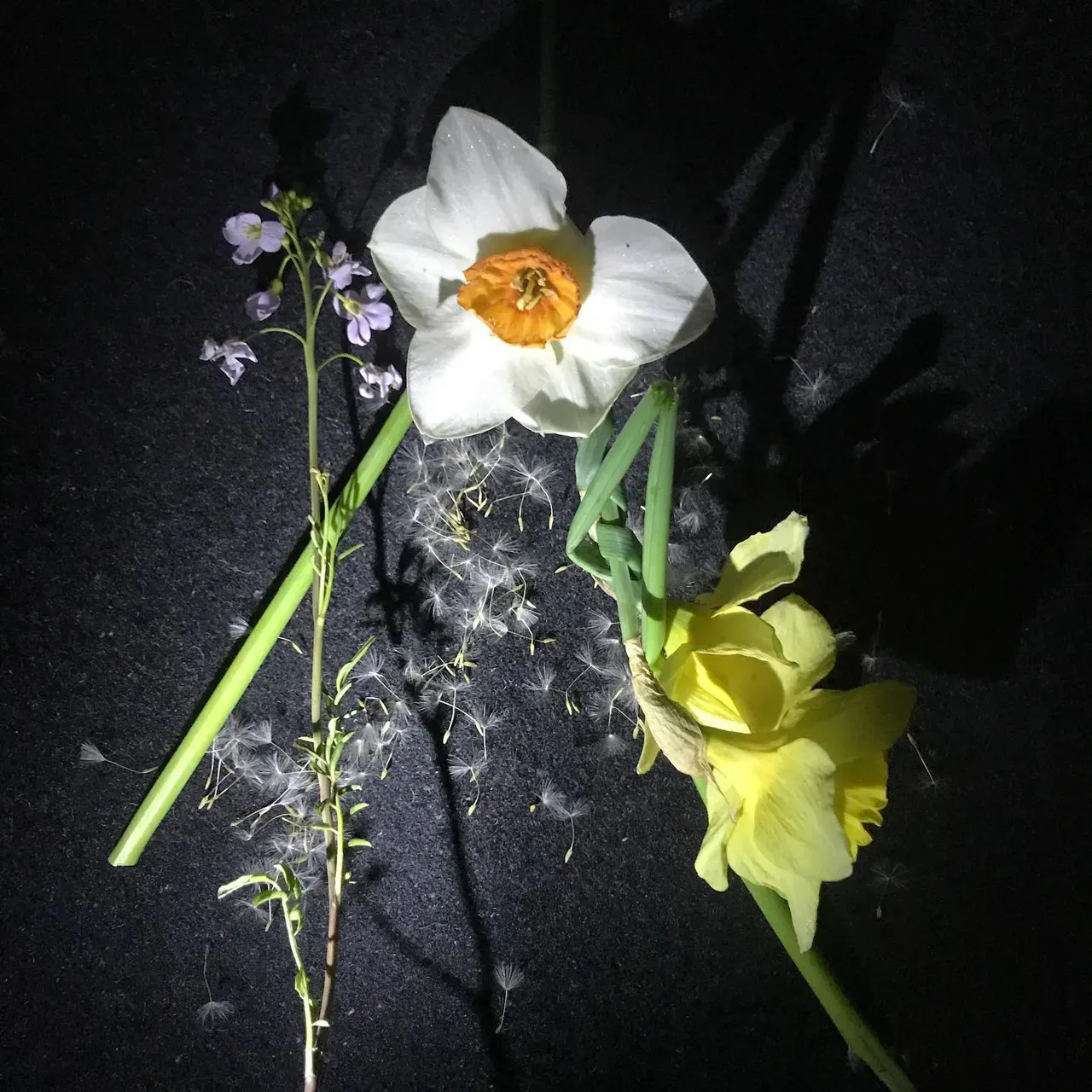 Image 27 - Spring