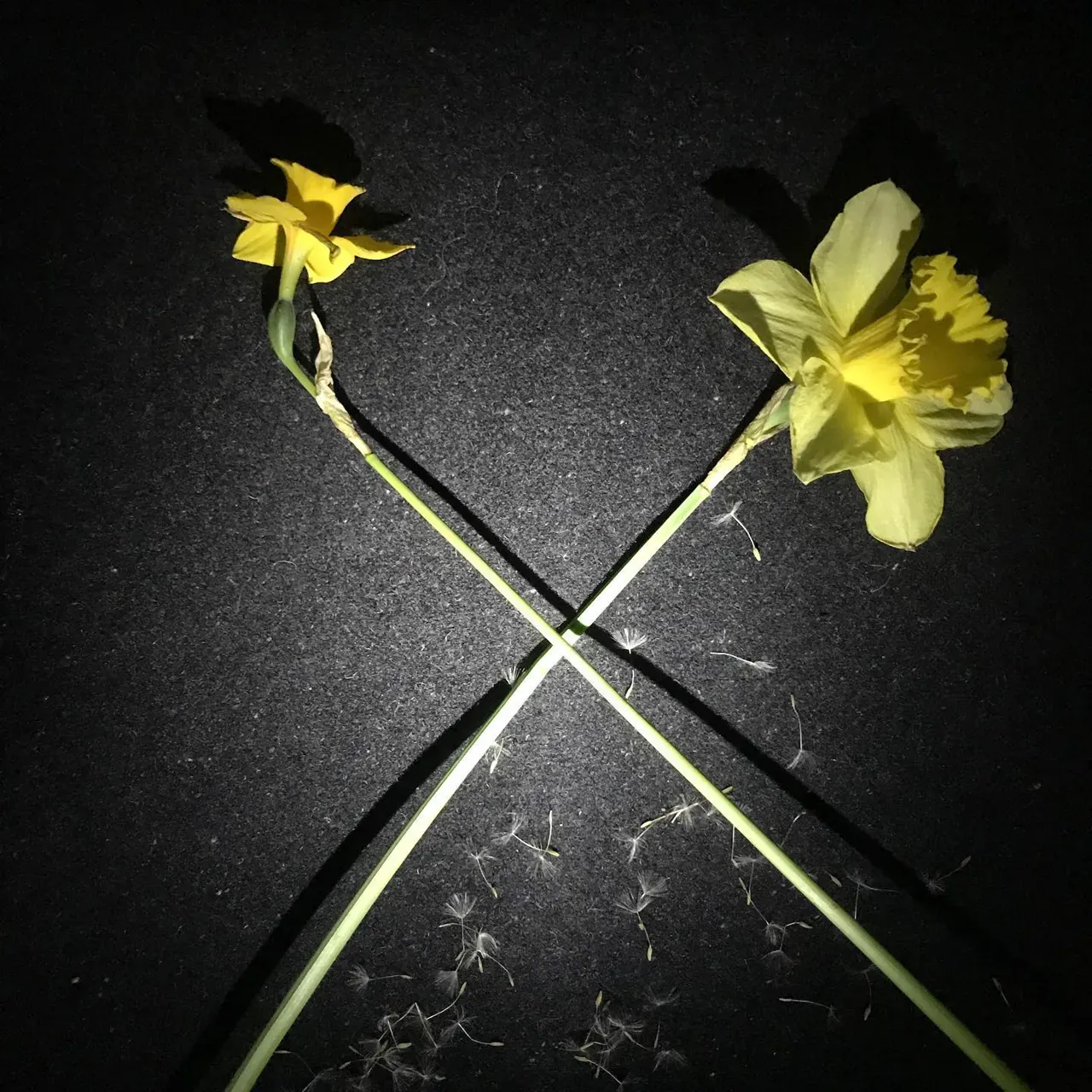 Image 28 - Spring