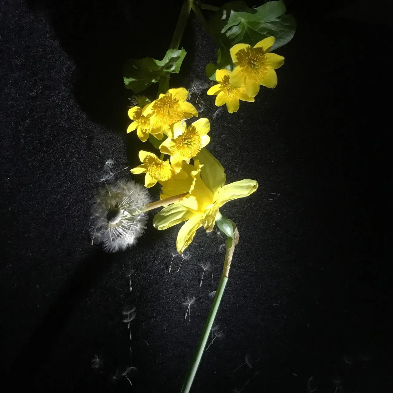 Image 4 - Spring