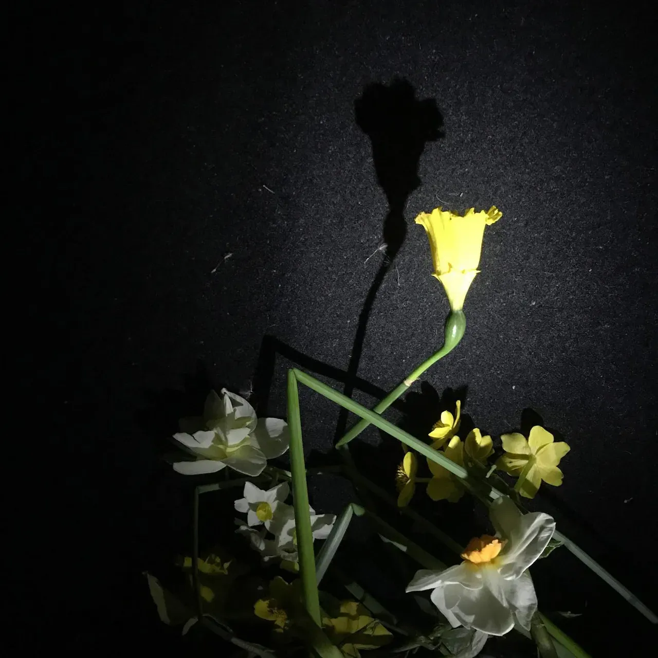 Image 6 - Spring