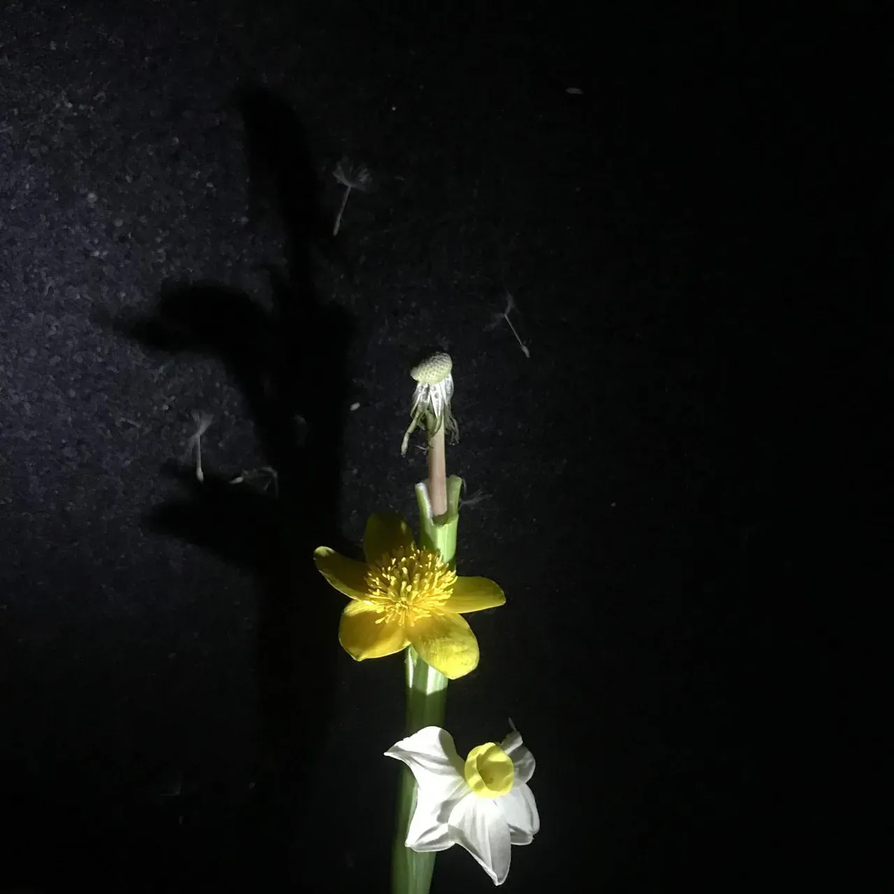 Image 9 - Spring