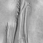 Image 20 - Stream As Sculpture