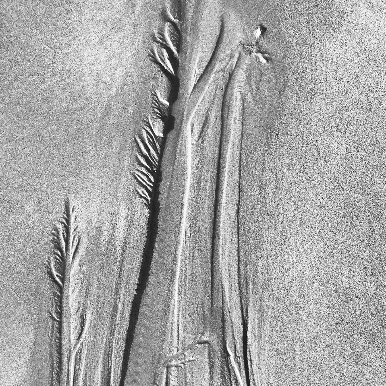 Image 20 - Stream As Sculpture